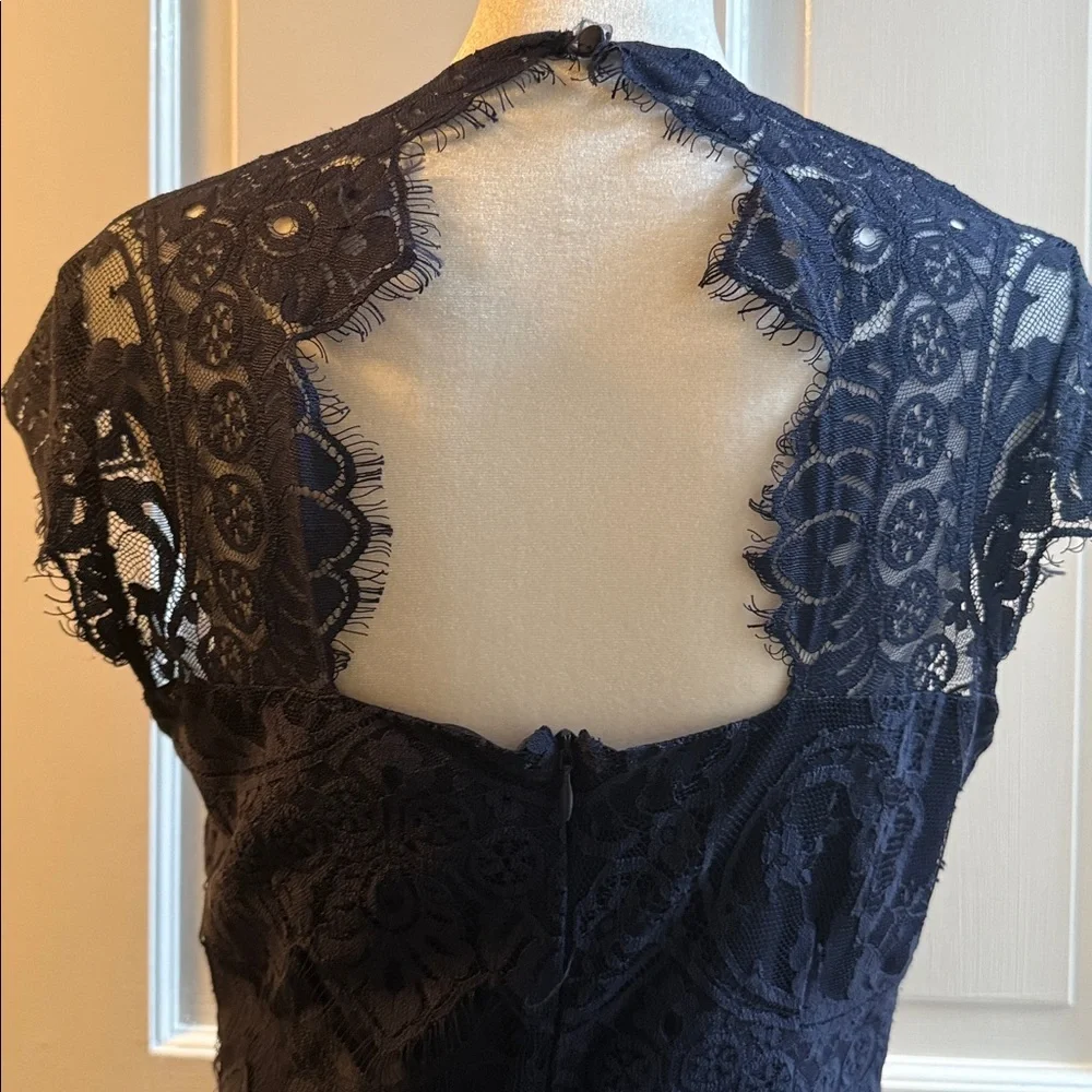 BB Dakota Elegant Dark Blue Lined Lace Dress-4